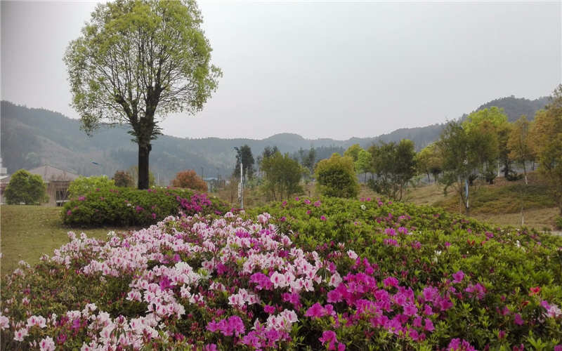 閩北職業(yè)技術(shù)學(xué)院高職分類考試
